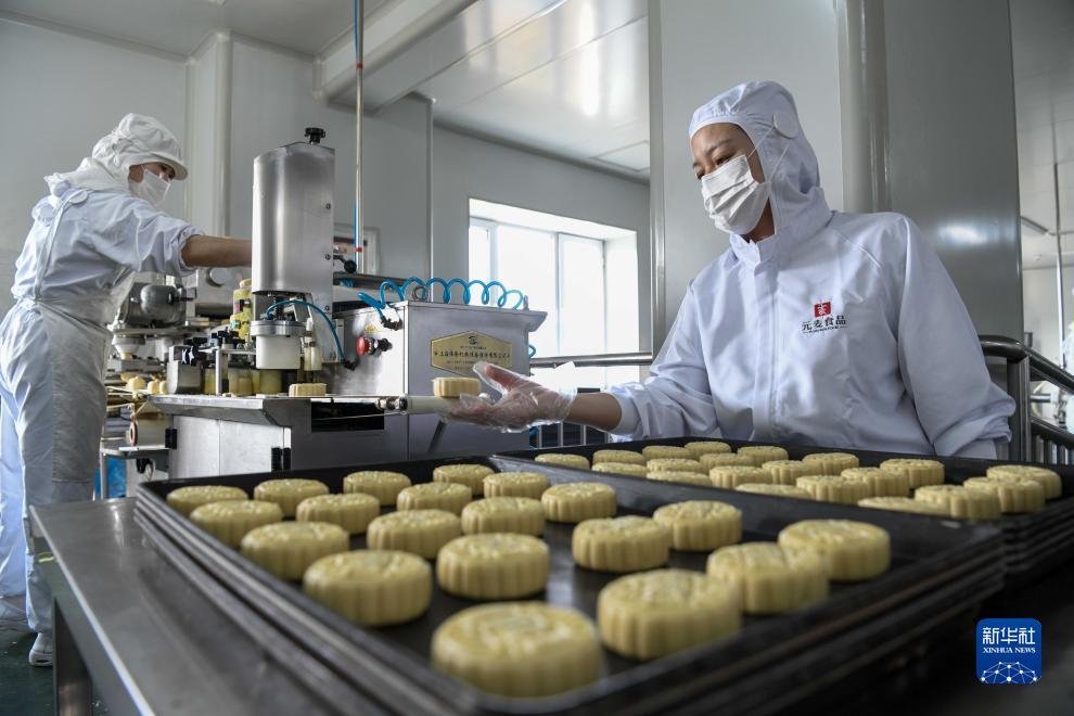 mg游戏登陆平台